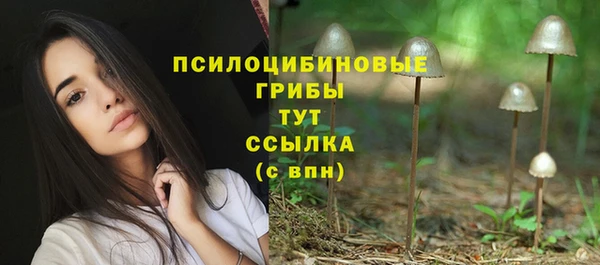 трава Куйбышев