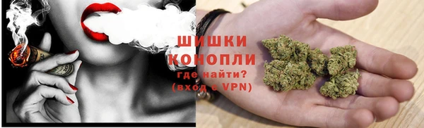 трава Куйбышев