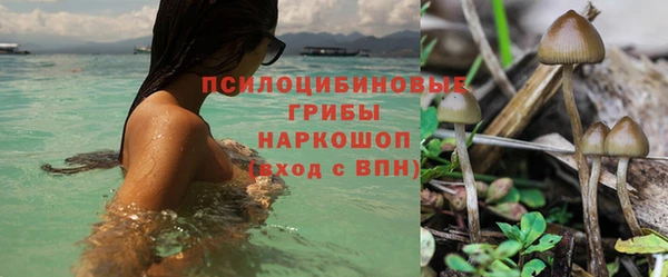 трава Куйбышев