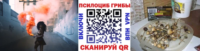Галлюциногенные грибы Psilocybine cubensis  купить наркотик  Шарья 
